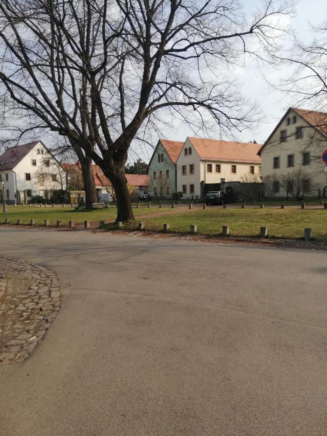 Ferienhaus -Am Alten Dorfplatz- 德累斯顿 外观 照片
